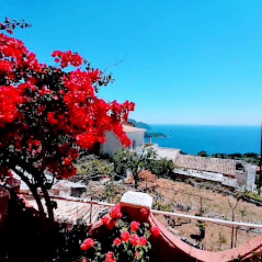 Traditional Panoramic Sea View House Lákones Dış mekan fotoğraf